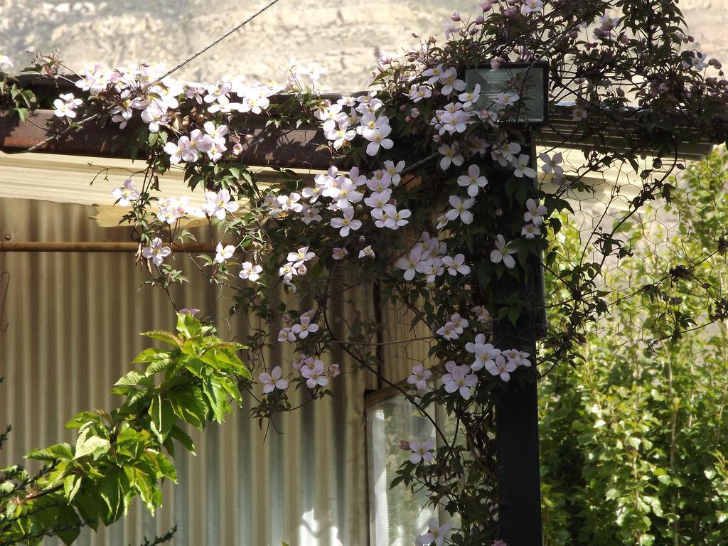 Kiritina'S House Homestay El Calafate Chambre photo